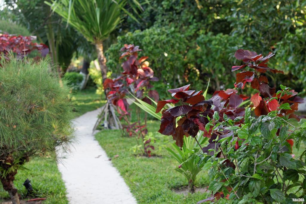 Analatsara Eco Lodge Ile aux Nattes Eksteriør billede